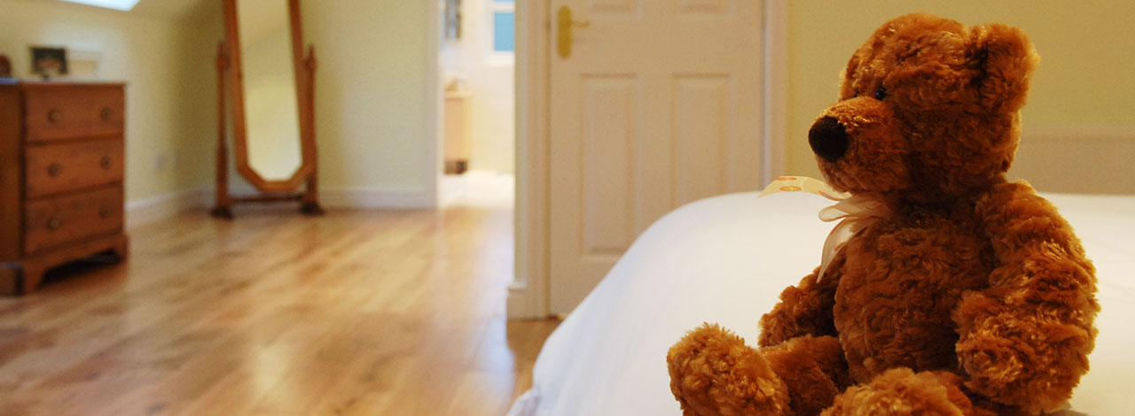 Teddy bear in loft conversion bedroom